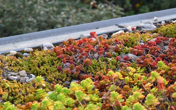 the cost of Ashfields green roof installation