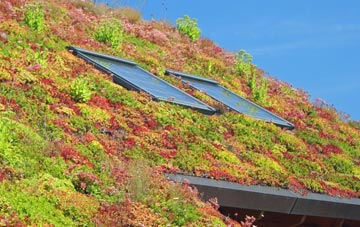 Ashfields living roof systems