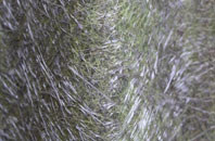 Ashfields fibreglass roof work